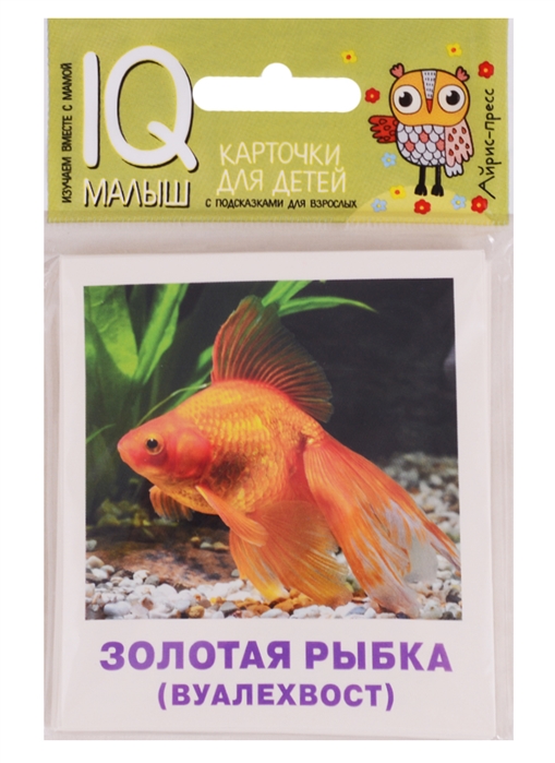 Аквариумные рыбки. Набор карточек для детей (19 карточек)