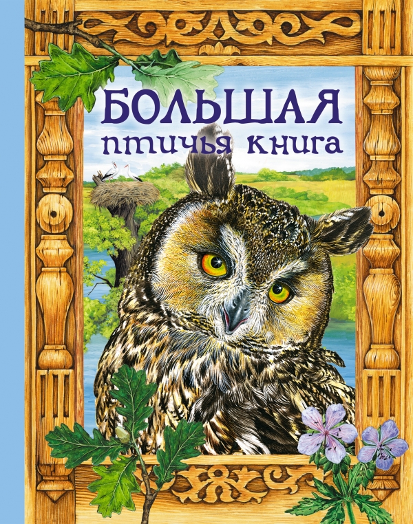 Большая птичья книга. Сказки (сборник)