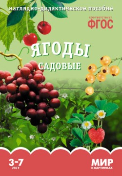 Мир в картинках. Ягоды садовые. Наглядно - дидактическое пособие 3-7 лет (ФГОС ДО) (Минишева Т.)