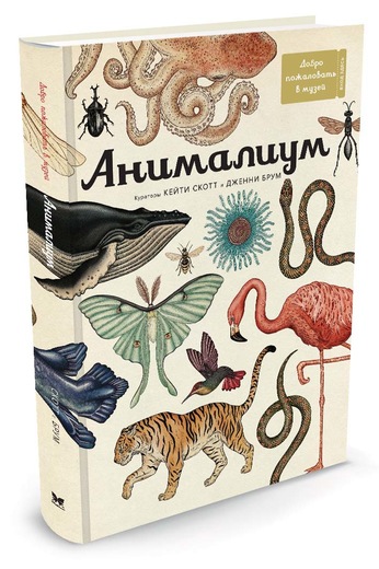Анималиум. Энциклопедия (Брум Дж.)