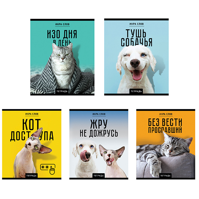 Тетрадь 48л. КЛ. ПЗБМ 
