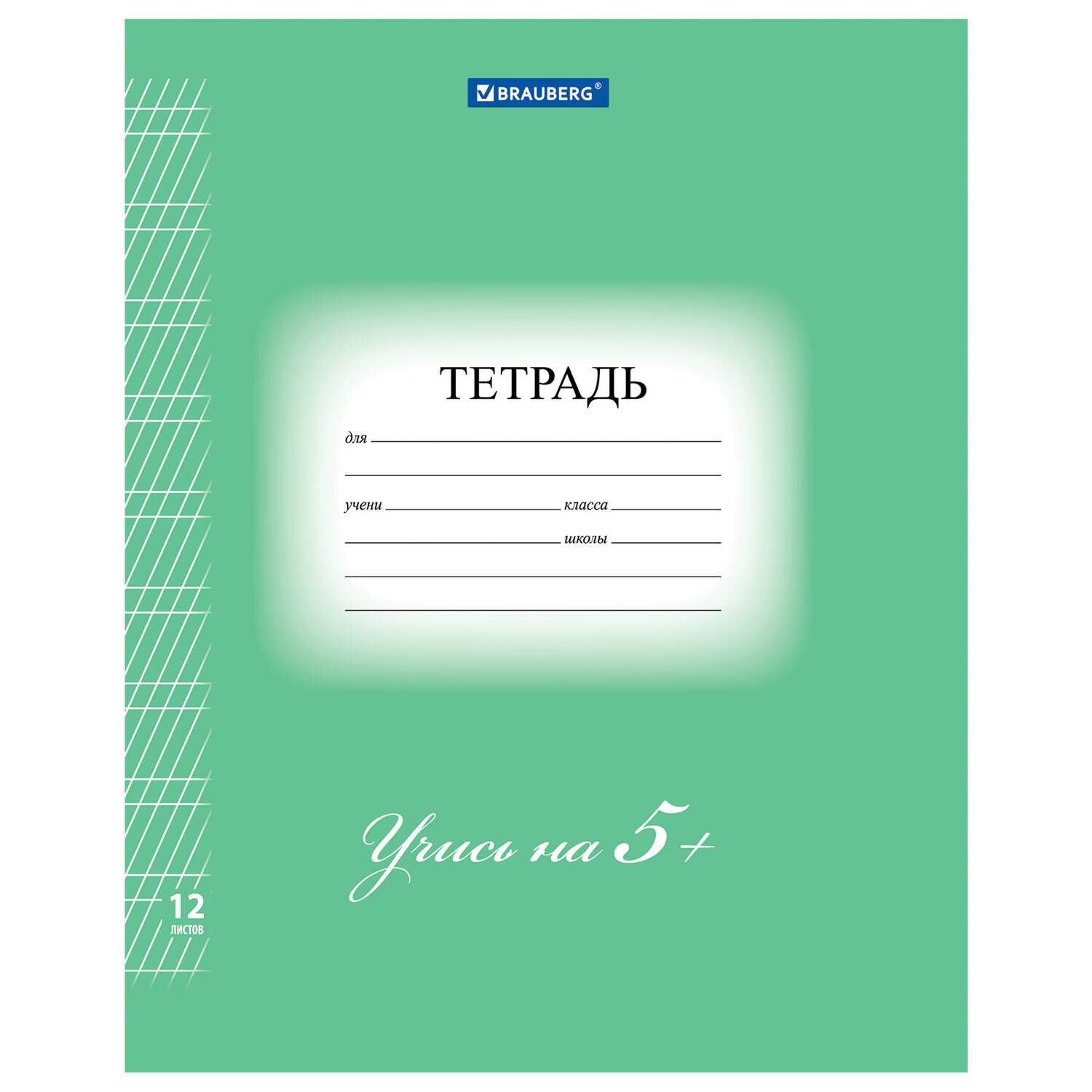 Тетрадь для прописей 12л. BRAUBERG 