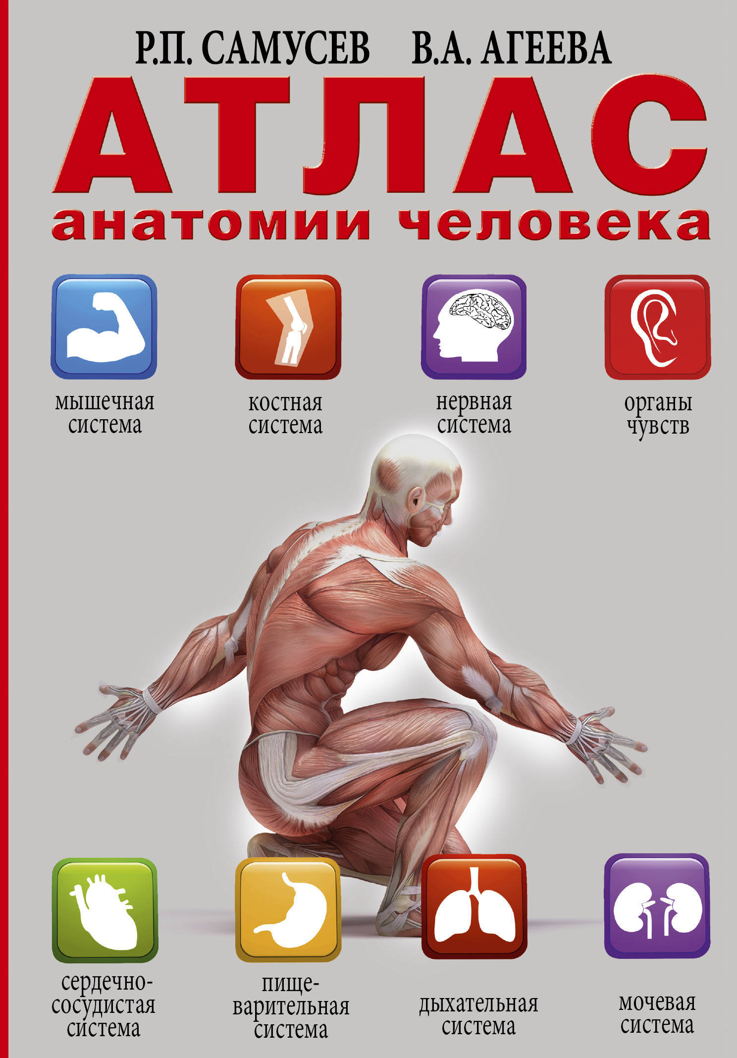 Атлас анатомии человека (Самусев Р.П., Агеева В.А.)