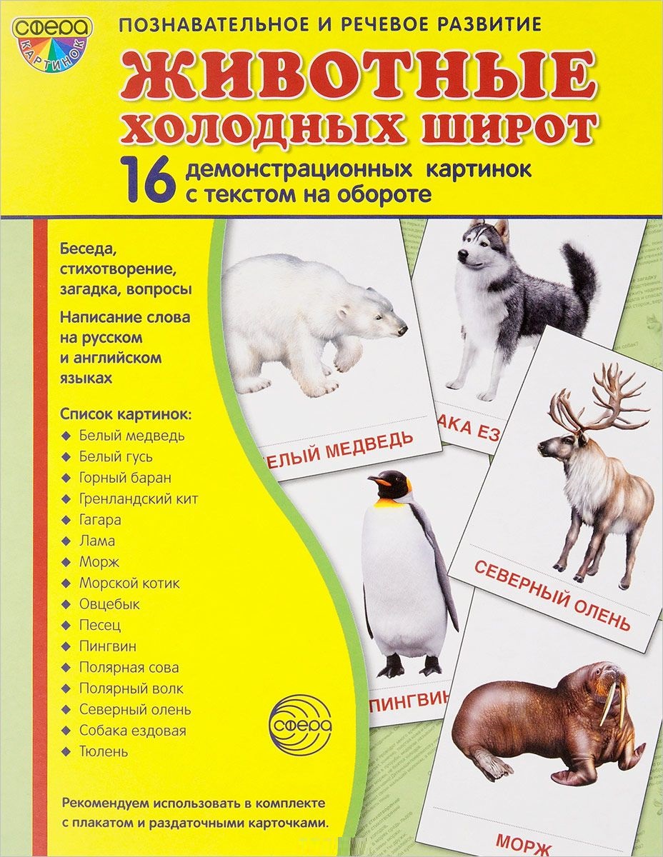 Демонстрационные картинки. Животные холодных широт. 16 картинок с текстом (173х220мм)