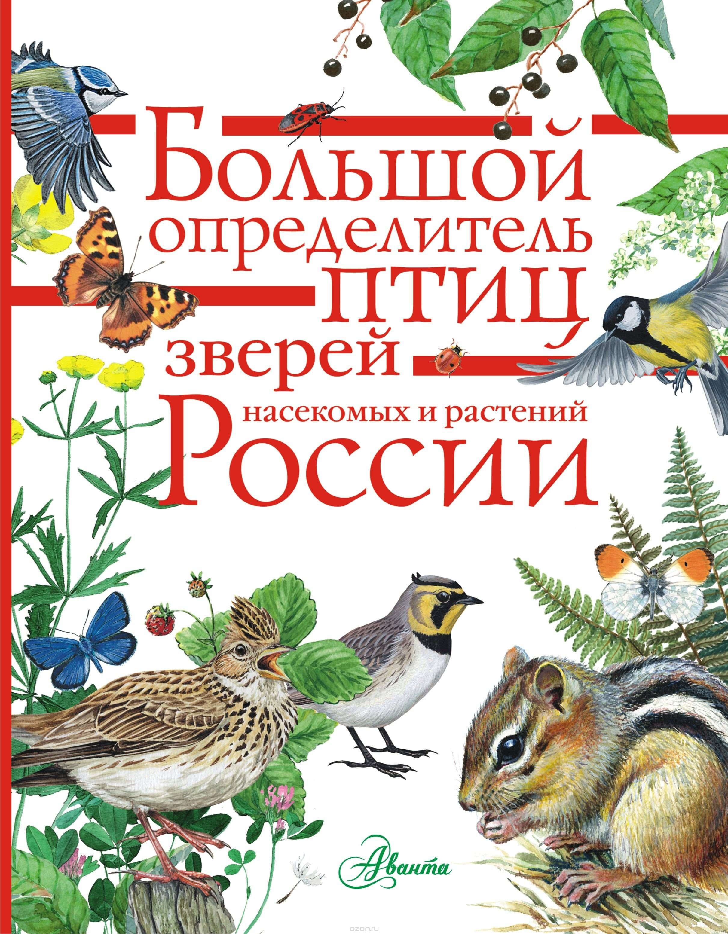 Большой определитель зверей, амфибий, рептилий, птиц, насекомых и растений России (Волцит П.М.)