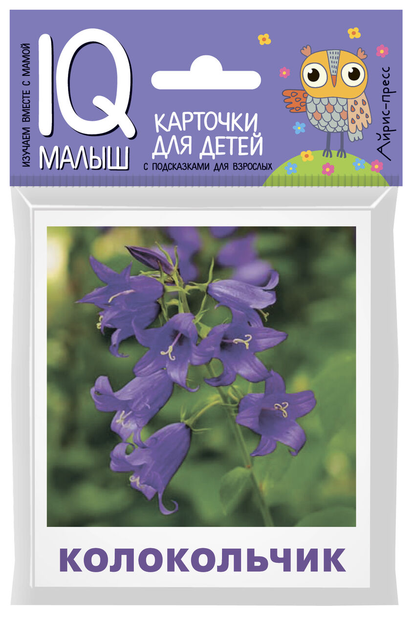 Что растёт на клумбе? Набор карточек для детей (14 карточек)