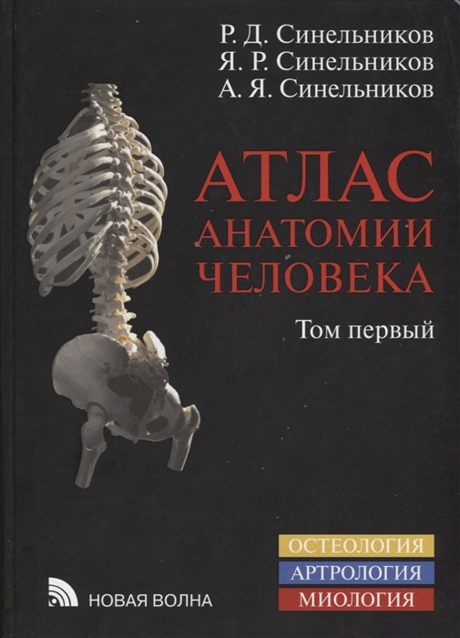 Атлас анатомии человека. Пособие в 3-х томах. Том 1. Учение о костях, соединении костей и мышцах (Синельников Р.Д., Синельников Я.Р., Синельников А.Я.)