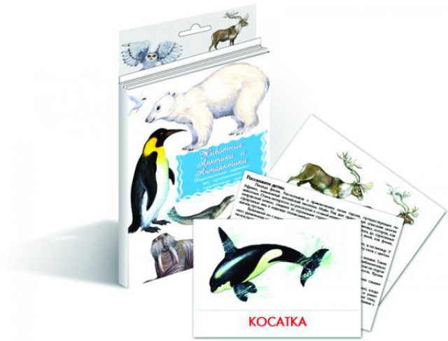 Животные Арктики и Антарктики. Дидактические карточки (257х150)
