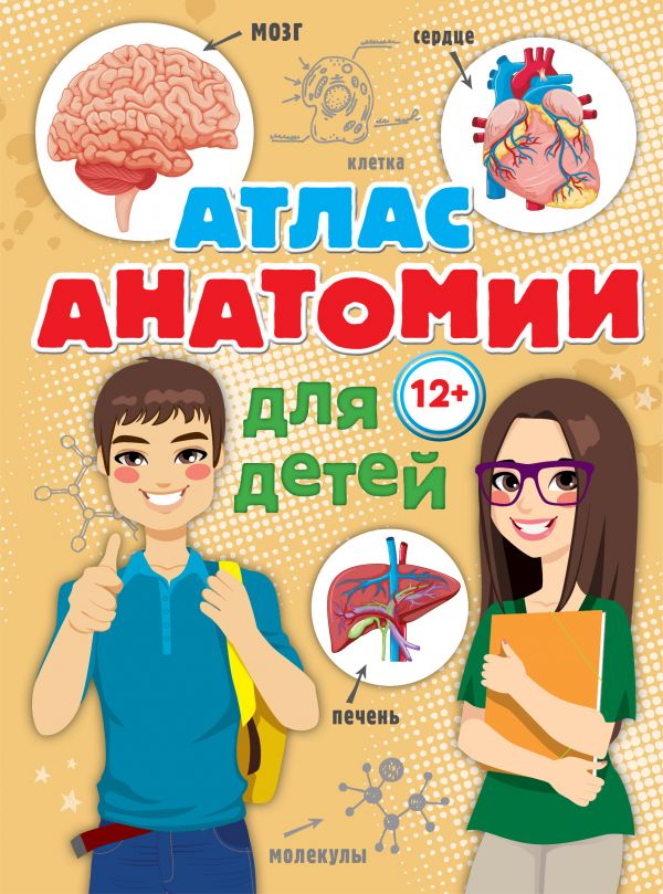 Атлас анатомии для детей (Швырев А.А.)