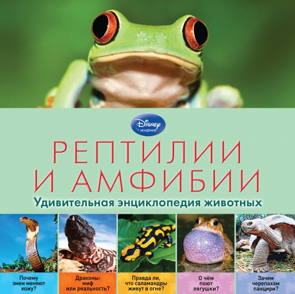 Рептилии и амфибии. Удивительная энциклопедия (<>)