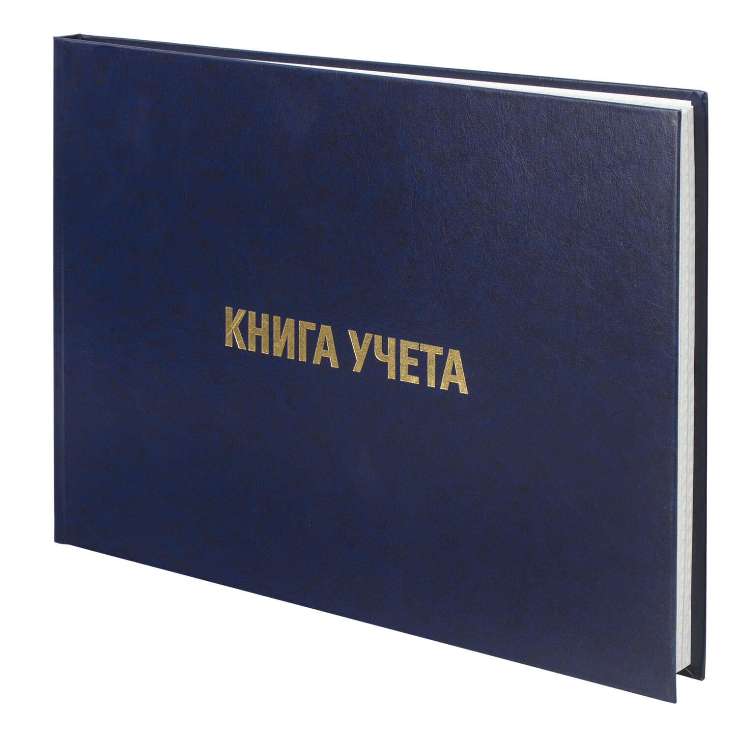 Книга учета А4. BRAUBERG 160л, клетка, обл: твердая, бумвинил, офсет, альбомная (130228)