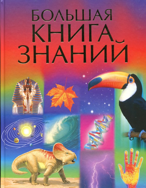 Большая книга знаний (Бингхэм Дж.)