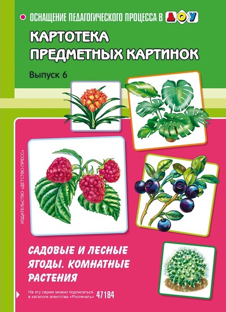 Картотека предметных картинок. Выпуск 6. Садовые и лесные ягоды. Комнатные растения (Нищева Н.В.)