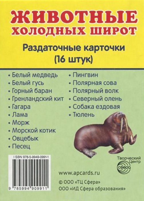 Демонстрационные картинки. Животные холодных широт. 16 раздаточных карточек с текстом (63х87мм)