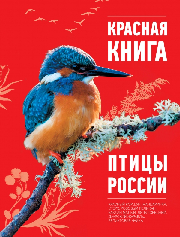 Красная книга. Птицы России (Скалдина О.В.)