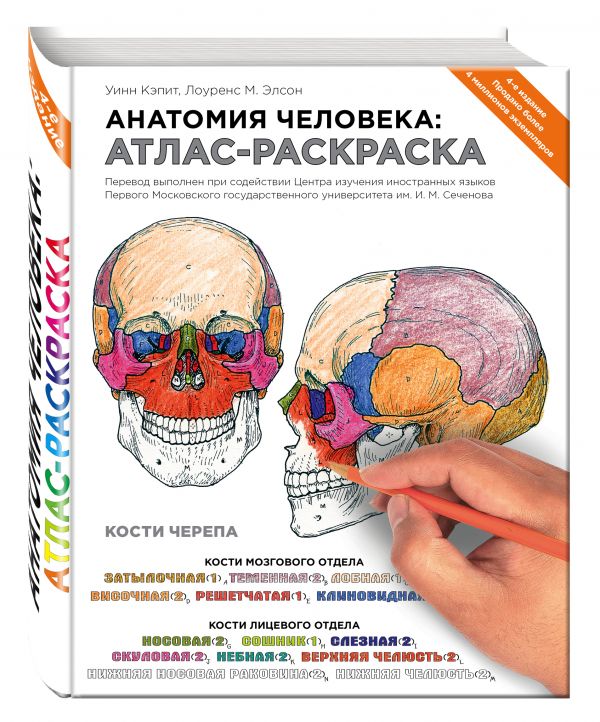 Анатомия человека: атлас-раскраска (Элсон Л.)