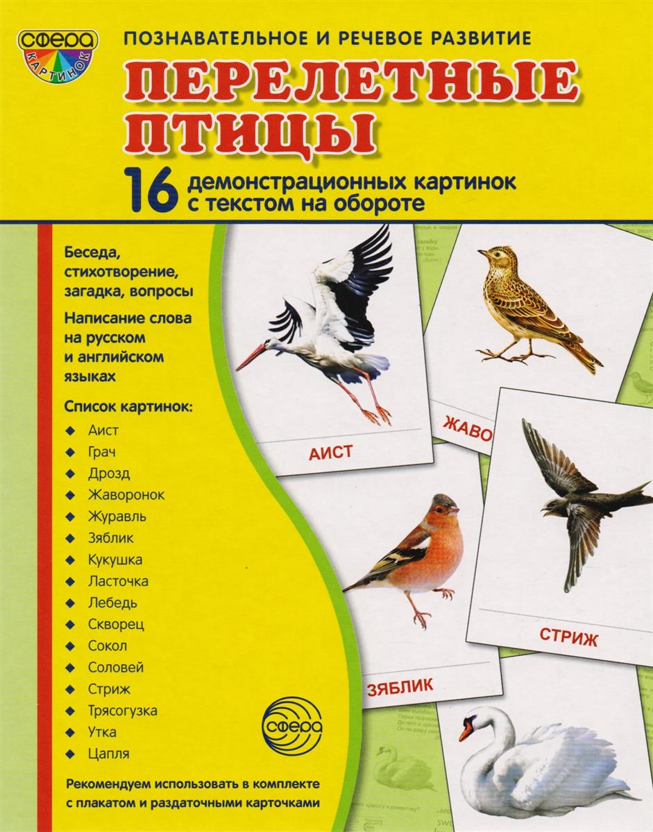 Демонстрационные картинки. Перелетные птицы. 16 картинок с текстом (173х220мм)