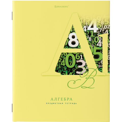 Тетрадь предметная 48л. КЛ. BRAUBERG 