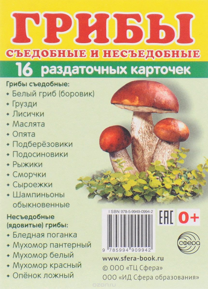 Демонстрационные картинки. Грибы. Съедобные и несъедобные. 16 раздаточных карточек с текстом (63х87мм)