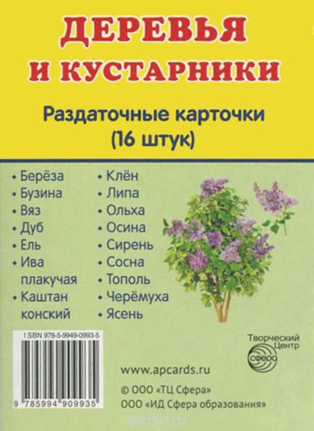 Демонстрационные картинки. Деревья и кустарники. 16 раздаточных карточек с текстом (63х87мм)