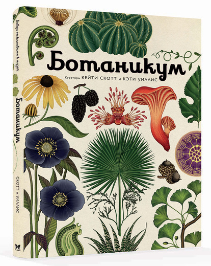 Ботаникум. Энциклопедия (Брум Дж.)