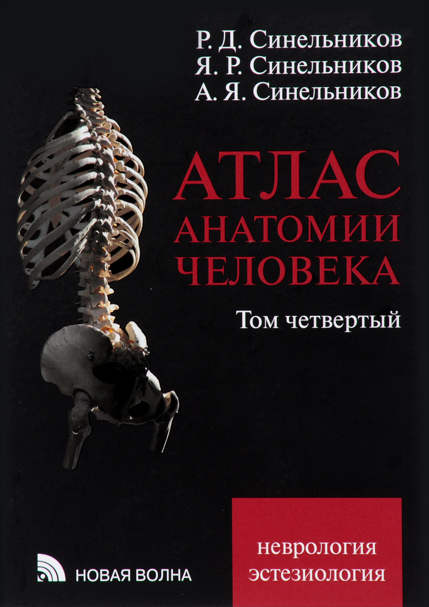 Атлас анатомии человека. Том 4. Учение о нервной системе и органах чувств (Синельников Р.Д., Синельников Я.Р., Синельников А.Я.)