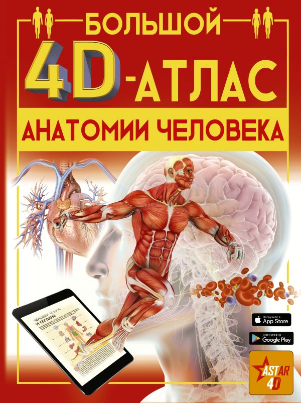 Большой 4D-атлас анатомии человека (Спектор А.А.)