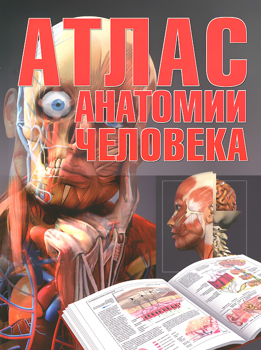 Атлас анатомии человека (Резько И.В.)