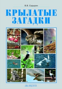 3-4кл. Окружающий мир. Крылатые загадки. Фотоальбом к учебнику Н.Я. Дмитриевой (Садырин В.В.)