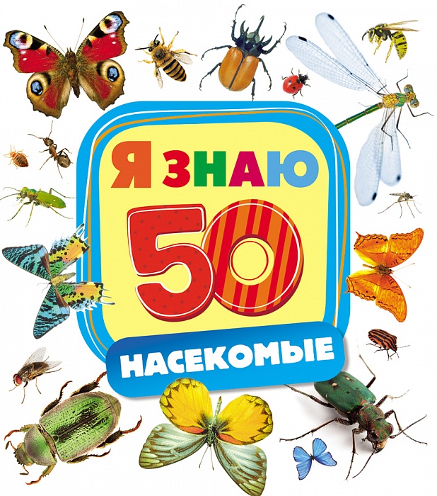 Насекомые (250x225)