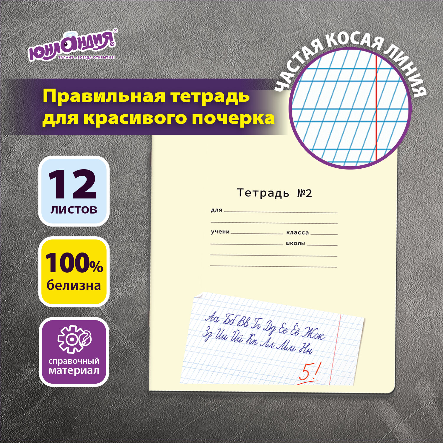 Тетрадь для прописей 12л. ЮНЛАНДИЯ 