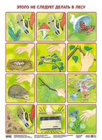 Плакат. Этого не стоит делать в лесу (50х69) (Николаева С.Н.)