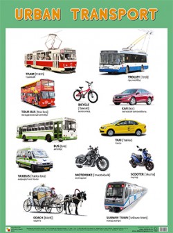 Плакат. URBAN TRANSPORT (Городской транспорт) (44х59)