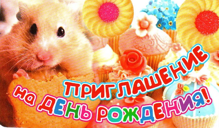 Приглашение на День рождения (детское) (ПМ-7473)
